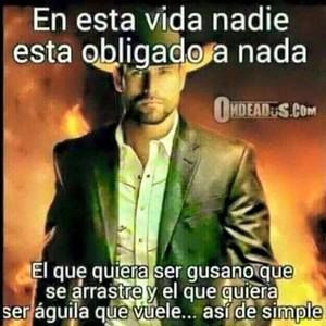 Meet your Posher, Angelito